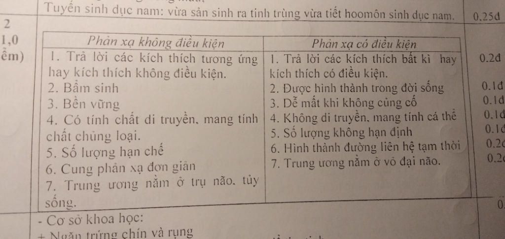 nhan-biet-phan-a-co-dieu-kien-va-phan-a-khong-dieu-kien-giai-thich-tai-sao-sao-ra-thi-hom-nao-ve