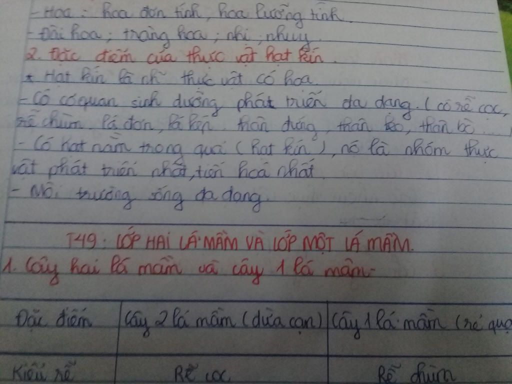 nhan-dang-cua-reu-duong-i-hat-tran-hat-kin