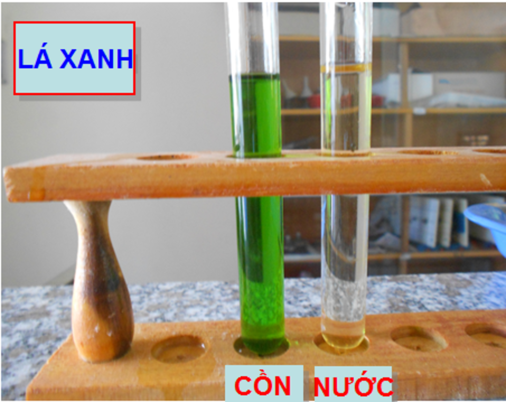 nhan-et-va-giai-thich-tai-sao-khi-cho-ruou-vao-ong-nghiem-va-nuoc-la-khoai-lang-lai-co-su-khac-n