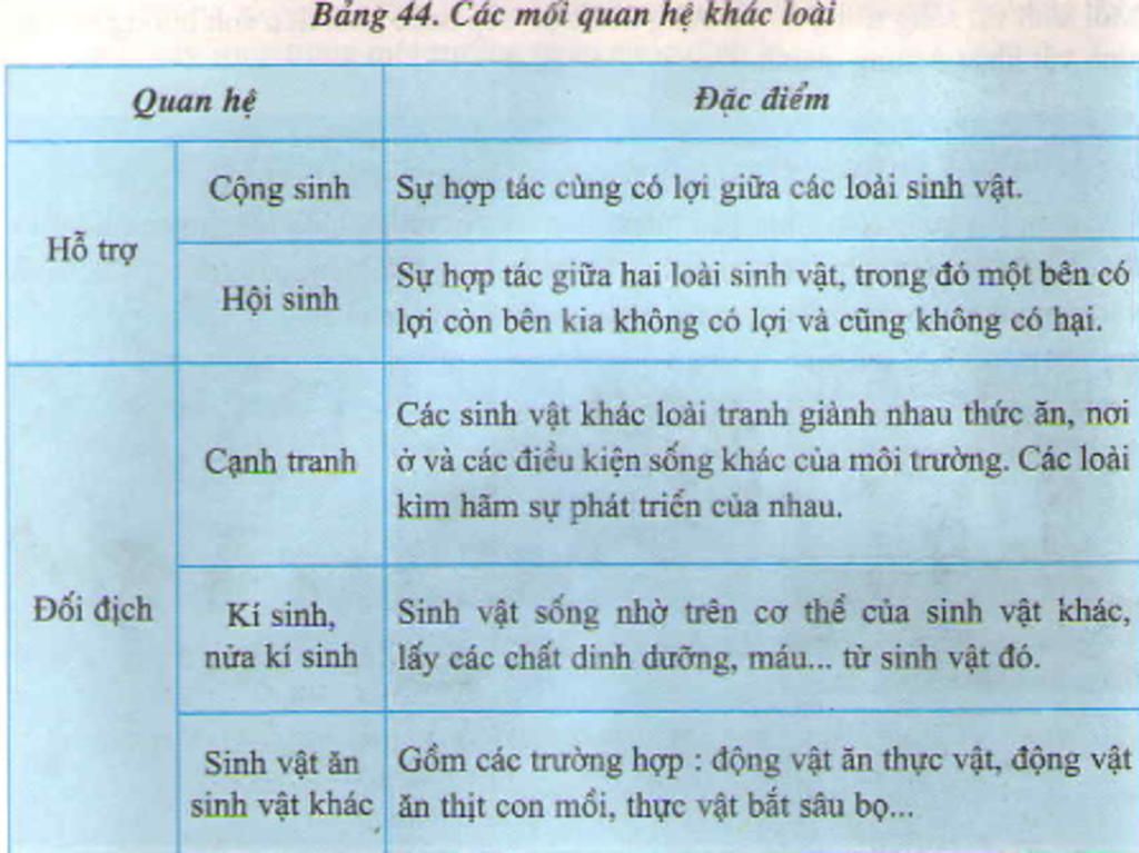 nhan-ra-moi-quan-he-giua-cac-sinh-vat-hau-qua-viec-tang-dan-so-qua-nhanh-la-gi
