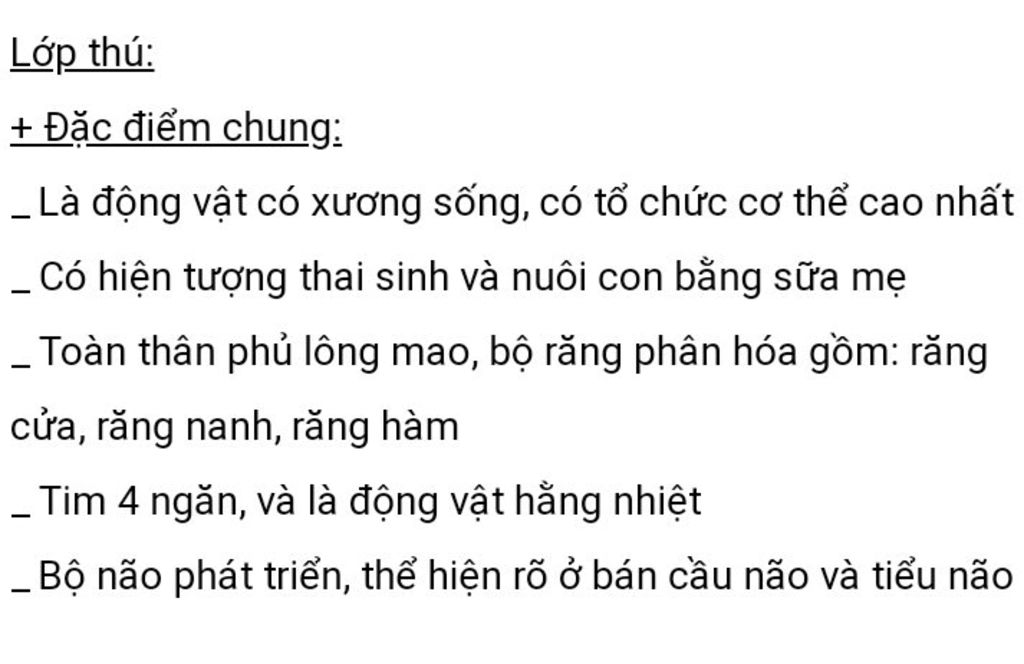 nho-mn-tl-giup-em-3-cau-hoi-nay-a-em-can-gap-a-1-lop-da-thu-da-dang-the-hien-o-diem-nao-2-tai-sa