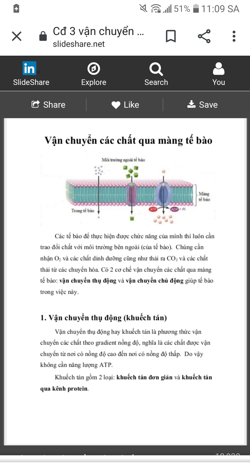 nuoc-duoc-van-chuyen-qua-mang-te-bao-nhu-the-nao-vi-sao-de-giu-rau-tuoi-ta-phai-thuong-uyen-vay