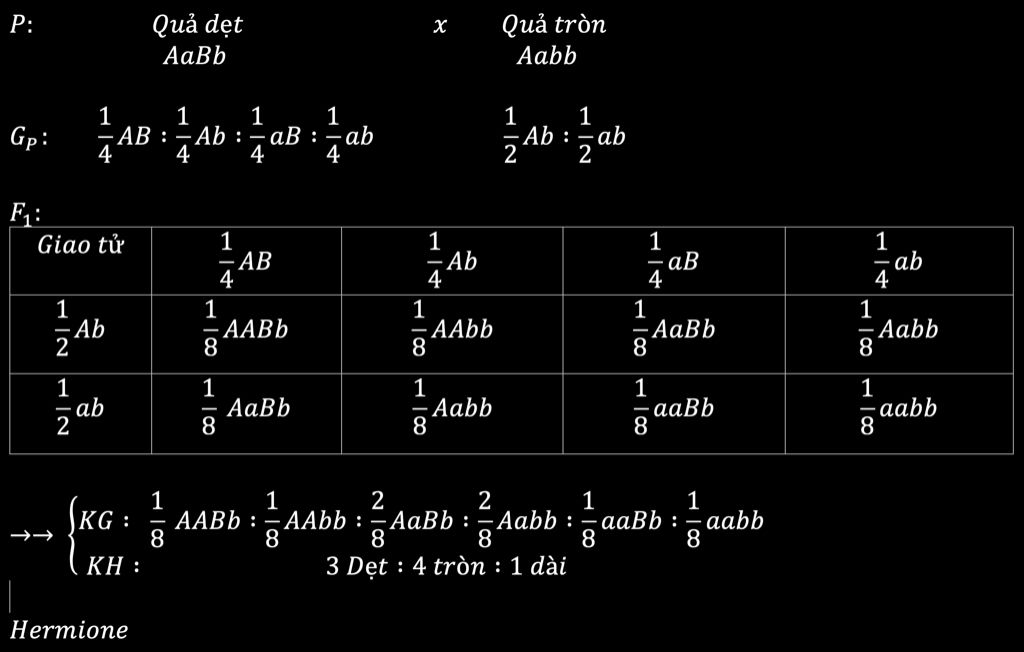 o-bi-dang-qua-do-tac-dong-gen-bo-tro-quy-dinh-kg-a-b-qua-det-kg-a-bb-hay-aab-qua-tron-aabb-qua-d