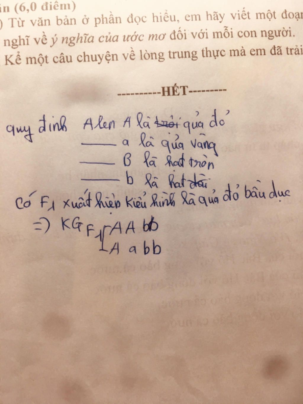 o-ca-chua-gen-a-lon-quy-dinh-qua-do-troi-hoan-toan-so-voi-gen-a-quy-dinh-qua-vang-gen-b-lon-quy