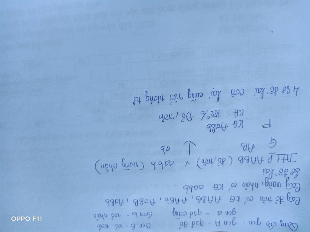 o-ca-chua-gen-a-quy-dinh-qua-do-troi-hoan-toan-so-voi-gen-a-quy-dinh-qua-vang-b-quy-dinh-vo-tron