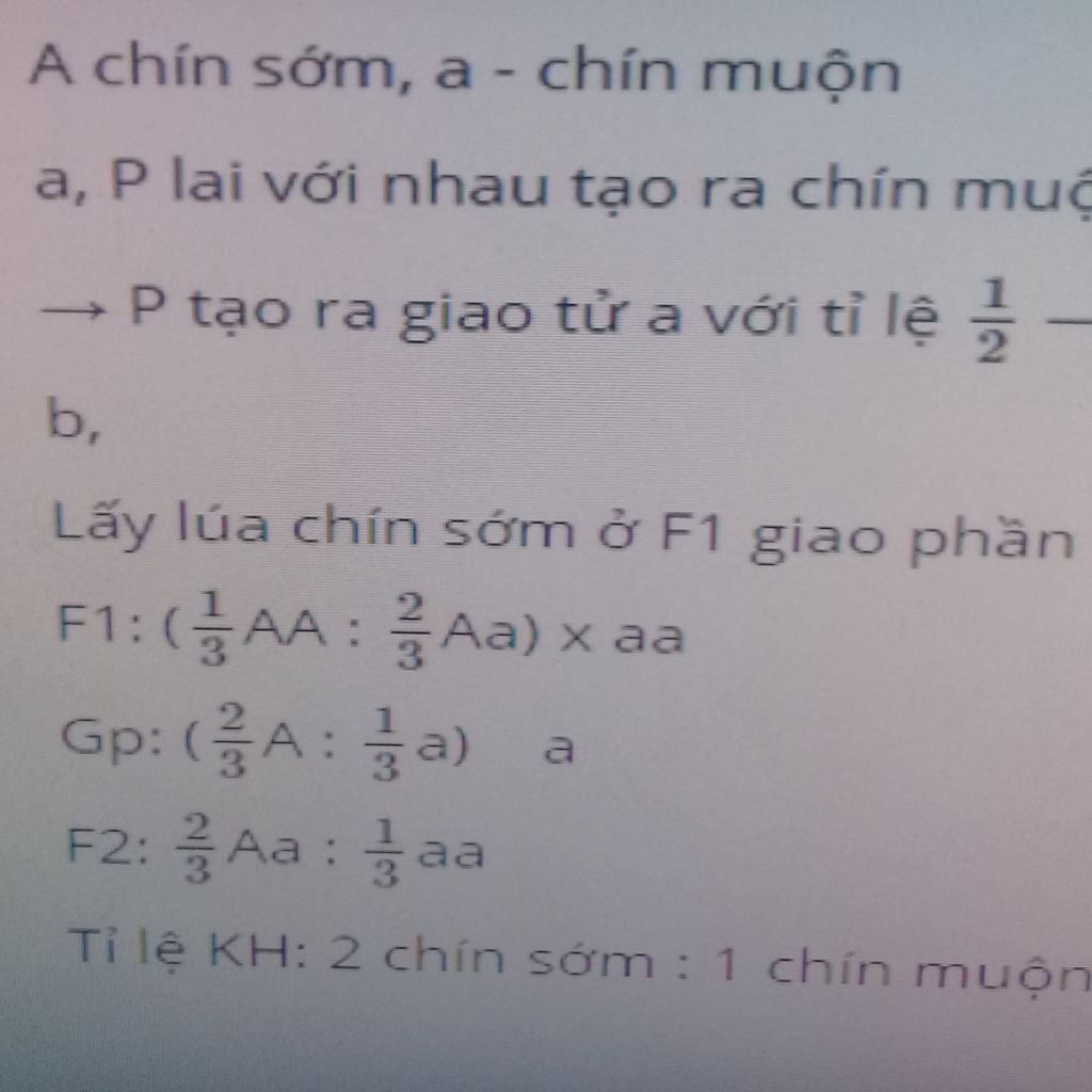 o-cay-lua-chin-som-troi-hoan-toan-so-voi-chin-muon-a-muon-ngay-f-1-uat-hien-ti-le-kieu-hinh-la-3