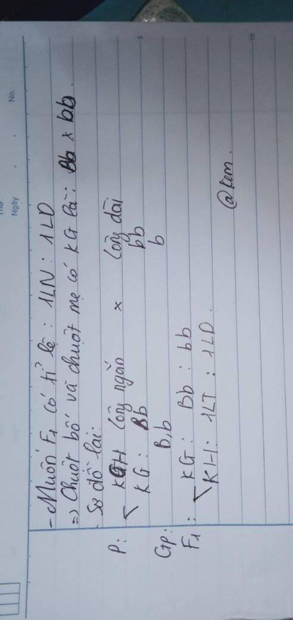 o-chuot-gen-b-qui-dinh-tinh-trang-long-ngan-la-troi-hoan-toan-so-voi-gen-b-quy-dinh-long-dai-neu