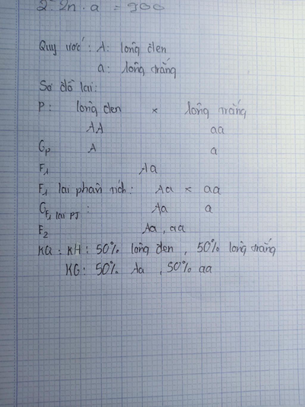 o-chuot-thuan-chung-hoan-toan-so-voi-long-trang-cho-chuot-thuan-chung-long-den-lai-voi-long-tran