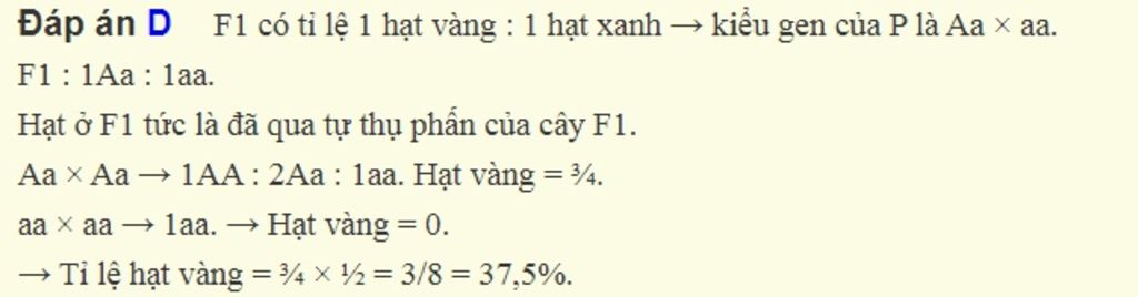 o-dau-ha-lan-gen-a-quy-dinh-hat-vang-troi-hoan-toan-so-voi-alen-a-quy-dinh-hat-anh-cho-cay-hat-v