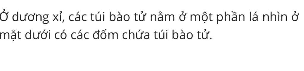 o-duong-i-cac-tui-bao-tu-nam-o-dau-nghi-dich-corona-nha-truong-cho-nhieu-bai-qua-huhu