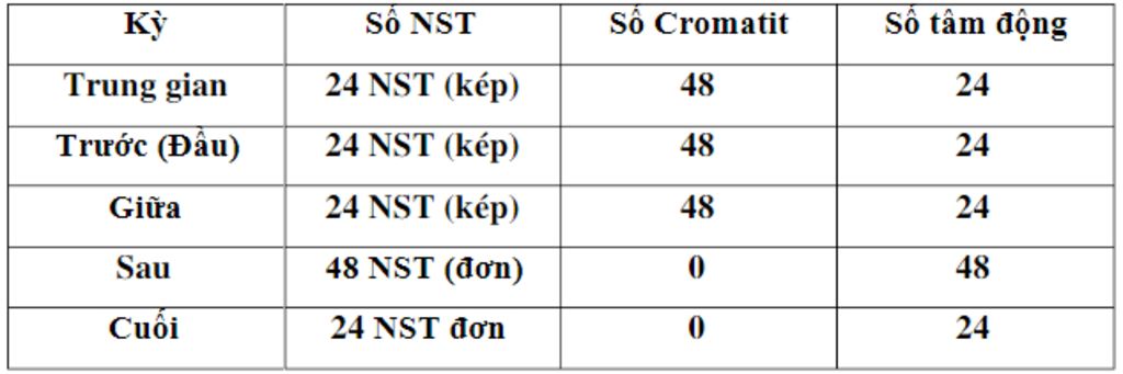 o-lua-nuoc-co-bo-nst-2n-24-mot-te-bao-cua-loai-nay-trai-qua-qua-trinh-giam-phan-hinh-thanh-giao