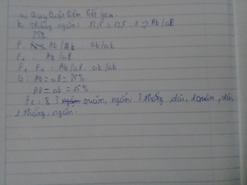 o-mot-loai-chuot-nhat-khi-cho-lai-giua-chuot-co-long-quan-ngan-voi-chuot-co-long-dai-thang-deu-d