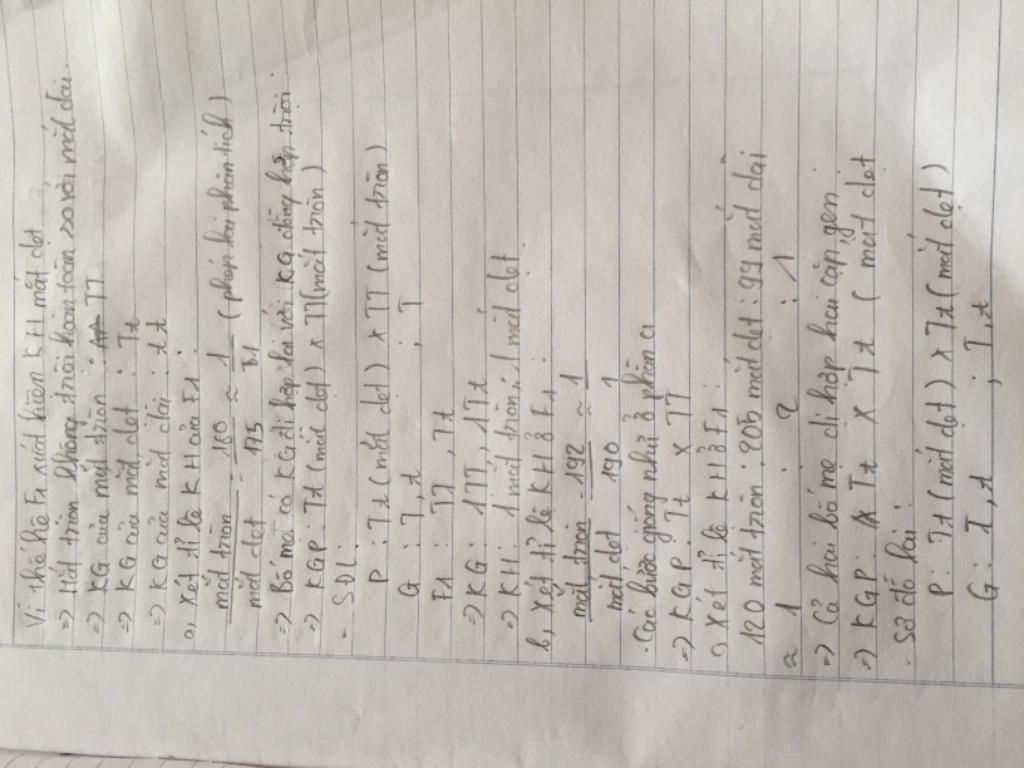 o-mot-loai-con-trung-hinh-dang-mat-do-gen-nam-tren-nst-thuong-quy-dinh-gen-t-quy-dinh-mat-tron-g