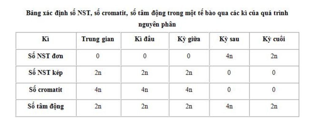 o-ngo-2n-14-ac-dinh-so-nst-don-nst-kep-soa-chromatic-tam-dong-o-cac-ki-dau-sau-giua-cuoi-trung-g