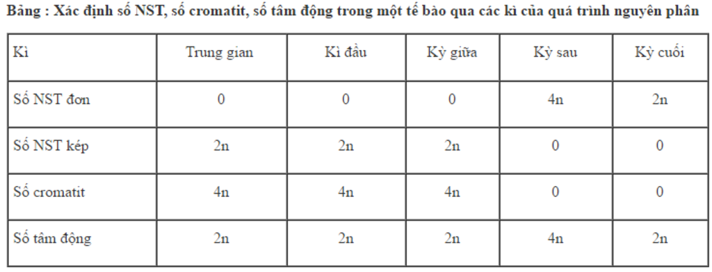 o-nguoi-co-bo-nst-2n-46-ac-dinh-so-nst-o-ki-nguyen-phan-ki-trung-gian-ki-giua-ki-sau-moi-nguoi-g