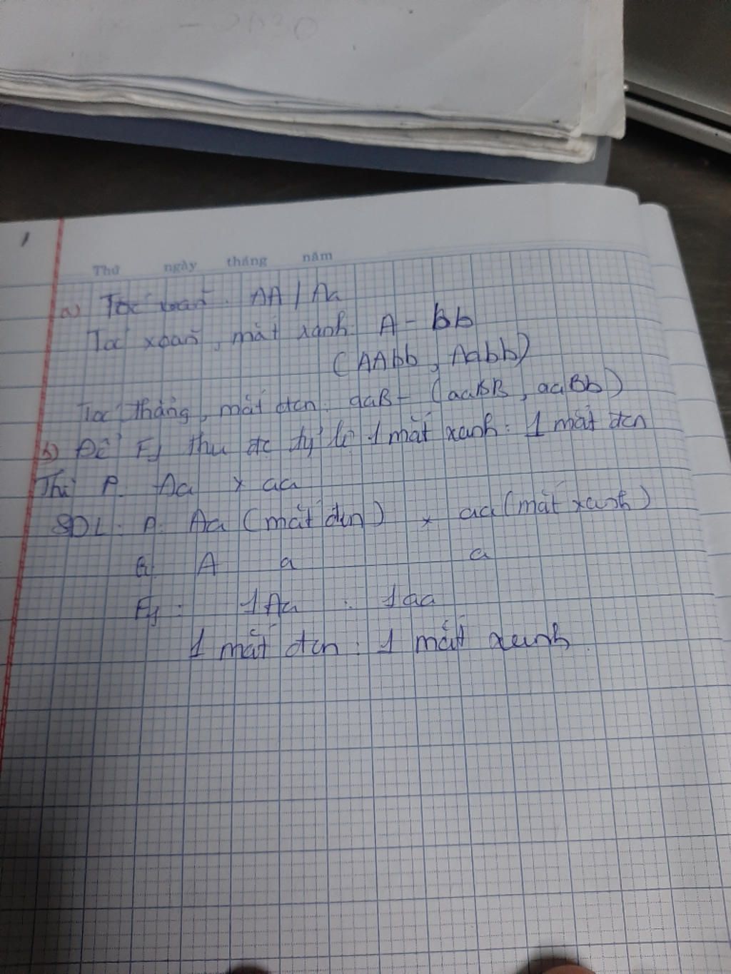 o-nguoi-gen-a-quy-dinh-toc-oan-gen-a-quy-dinh-toc-thang-gen-b-quy-dinh-mat-den-gen-b-quy-dinh-ma