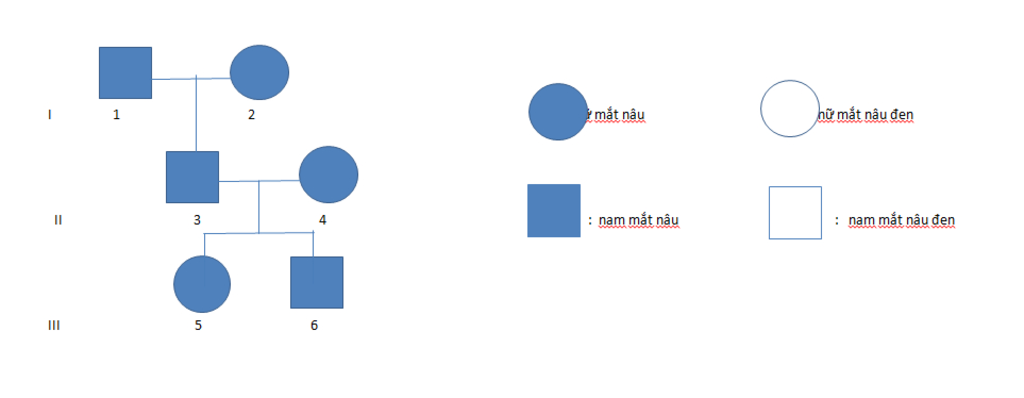 o-nguoi-gen-t-qui-dinh-tinh-trang-mat-nau-la-troi-so-voi-gen-t-qui-dinh-tinh-trang-mat-nau-den-t