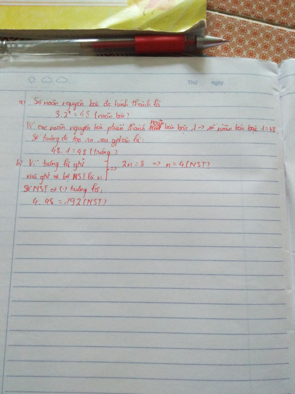 o-ruoi-giam-bo-nst-luong-boi-la-2n-8-co-3-te-bao-mam-np-4-dot-lien-tiep-tao-ra-cac-noan-nguyen-b