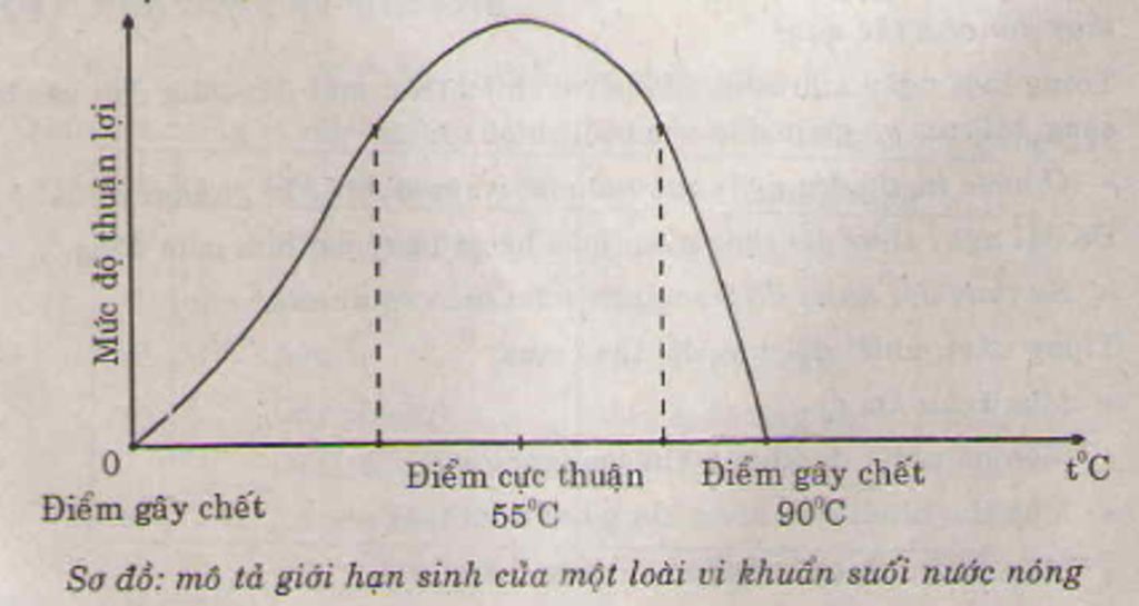 o-suoi-nuoc-nong-co-mot-loai-vi-khuan-co-gioi-han-nhiet-do-tu-0-c-90-c-phat-trien-tot-nhat-o-30