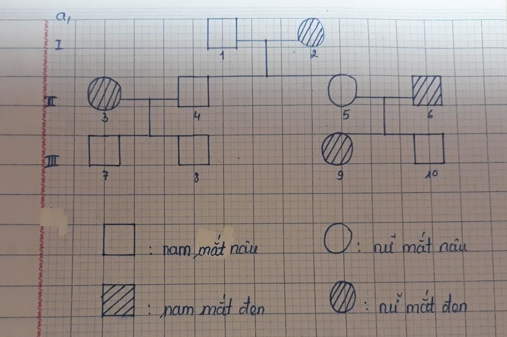 ong-noi-mat-nau-lay-ba-noi-mat-den-sinh-duoc-2-nguoi-con-1-trai-1-gai-deu-mat-nau-nguoi-con-trai