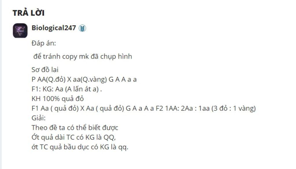 ot-qua-dai-q-qua-bau-duc-q-cho-lai-2-giong-ot-thuan-chung-qua-dai-va-bau-duc-voi-nhau-thi-ket-qu
