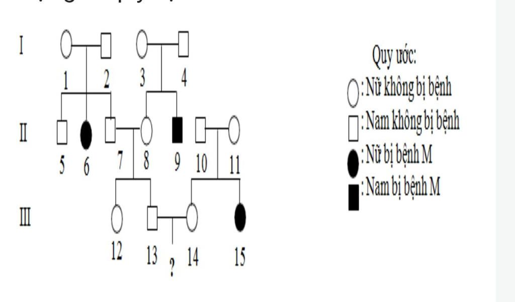 pha-he-duoi-day-mo-ta-su-di-truyen-cua-benh-m-do-alen-lan-cua-mot-gen-co-2-alen-quy-dinh-nhan-et