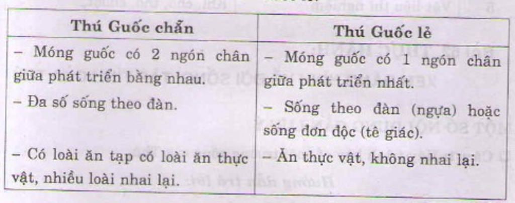 phan-biet-3-bo-thu-mong-guoc-bo-guoc-chan-bo-guoc-le-va-bo-voi-giup-mik-vs-a