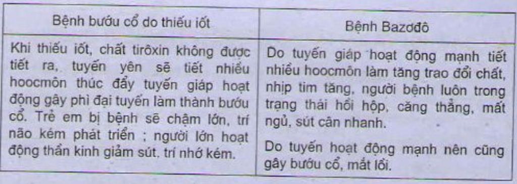 phan-biet-benh-buou-co-va-benh-bazodo-trinh-bay-hau-qua-cua-benh-buou-co-cach-phong-tranh-benh-b