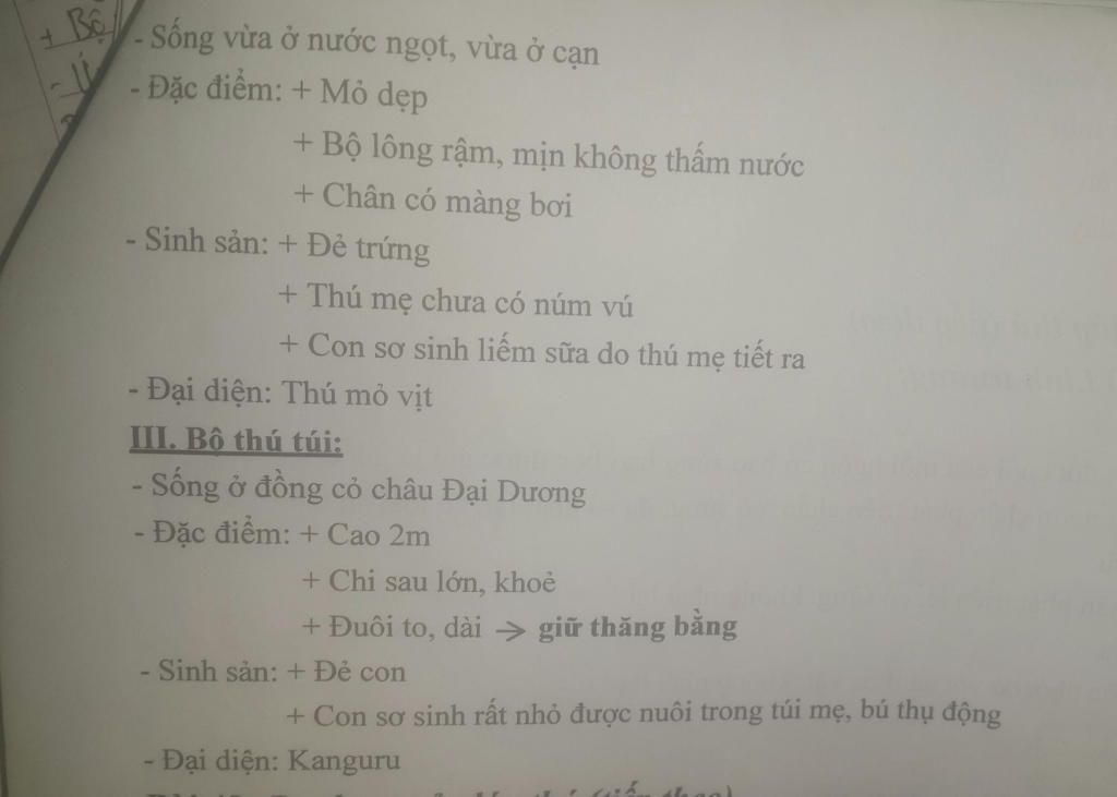 phan-biet-bo-thu-tui-va-bo-thu-huyet-bang-dac-diem-dac-trung-nhat-giup-mk-nha-mai-kt-1-tiet-roi
