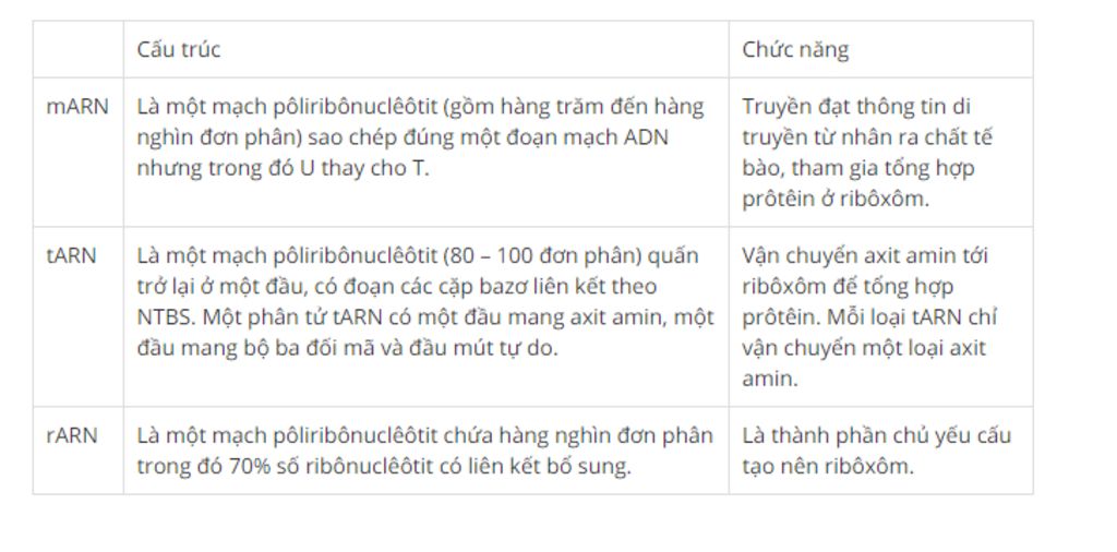 phan-biet-cac-loai-arn-ve-cau-truc-va-chuc-nang