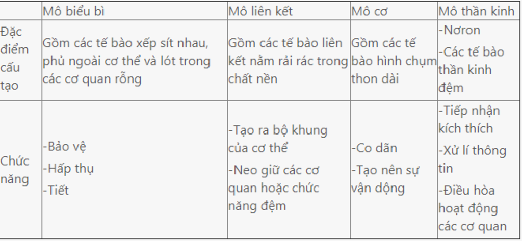 phan-biet-cac-loai-mo-da-hoc-gom-chuc-nang-vi-tri