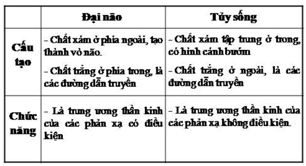 phan-biet-cau-tao-ngoai-cau-tao-trong-va-chuc-nang-cua-dai-nao-va-tuy-song