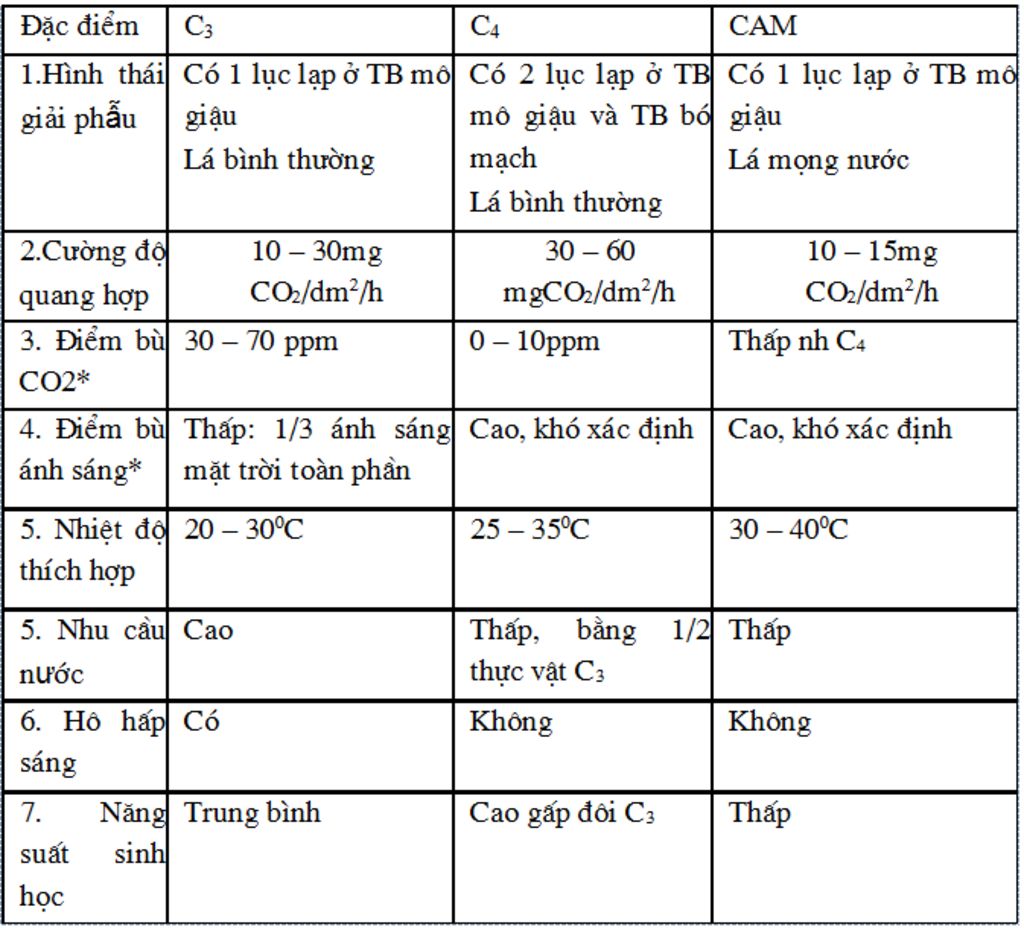 phan-biet-con-duong-co-dinh-co2-o-c3-c4-va-cam