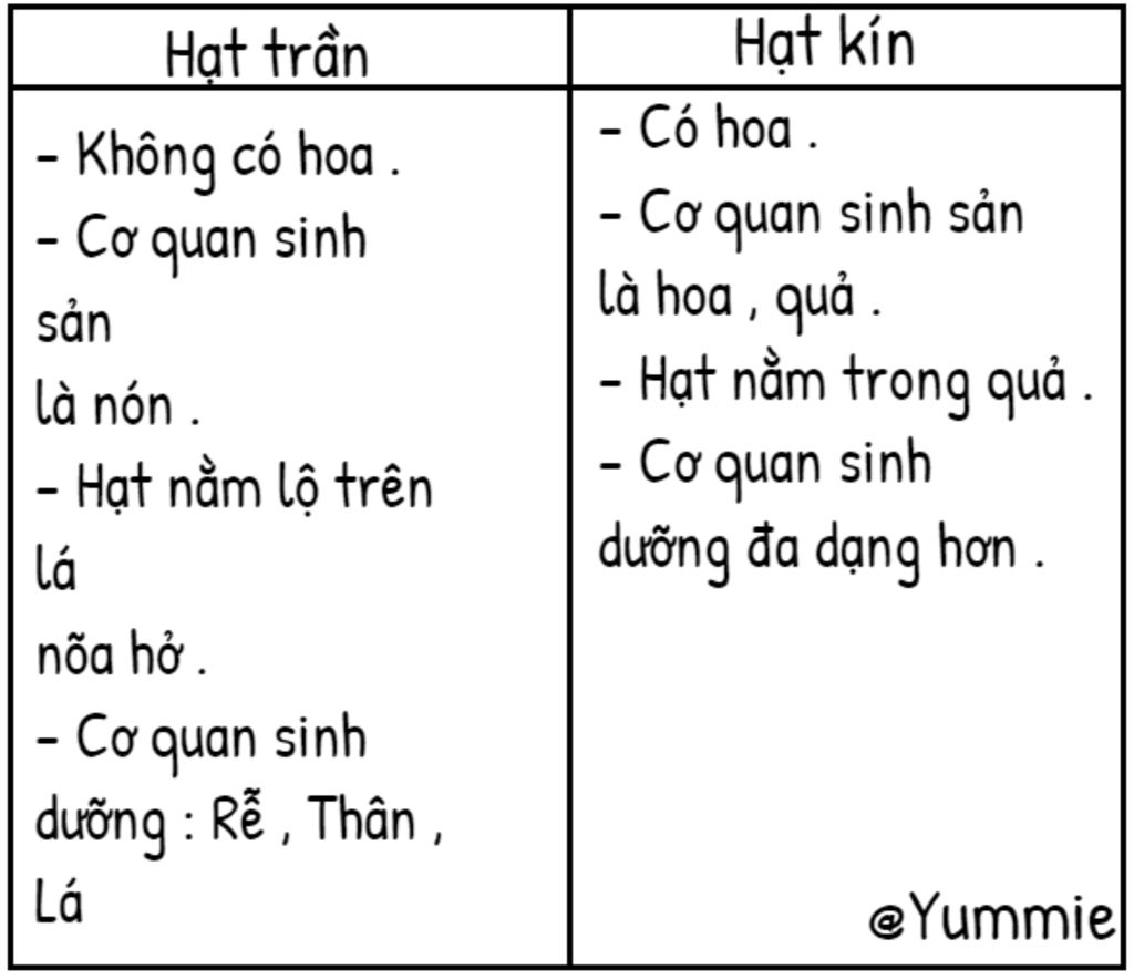 phan-biet-dac-diem-cau-tao-co-quan-sinh-san-hat-tran-va-hat-kin-trong-do-dac-diem-nao-quan-trong