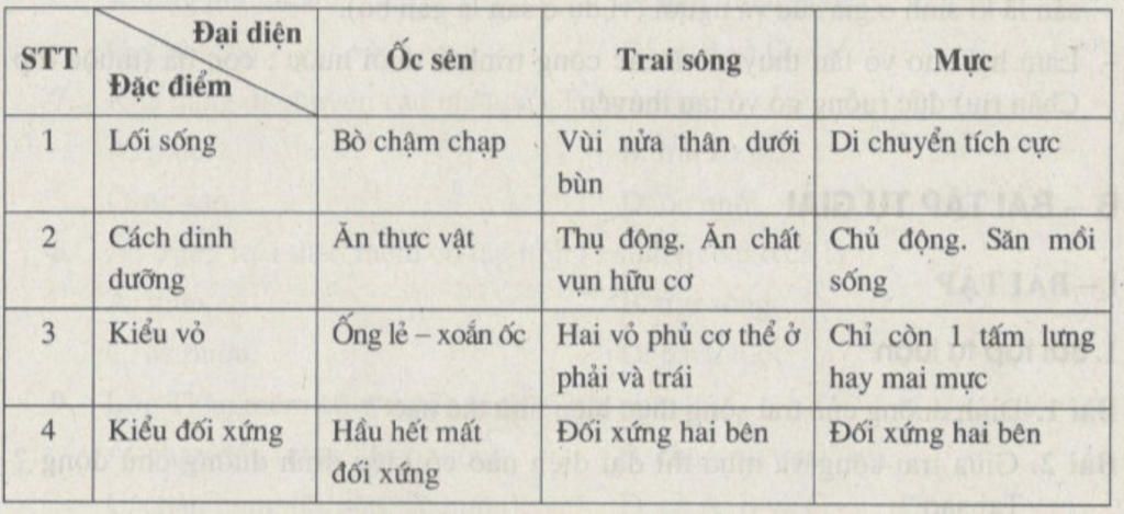 phan-biet-dac-diem-giong-va-khac-nhau-cua-oc-trai-muc