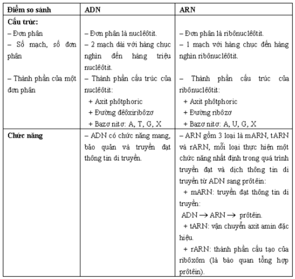 phan-biet-duoc-hai-loai-aitnucleic-ve-cau-truc-va-chuc-nang