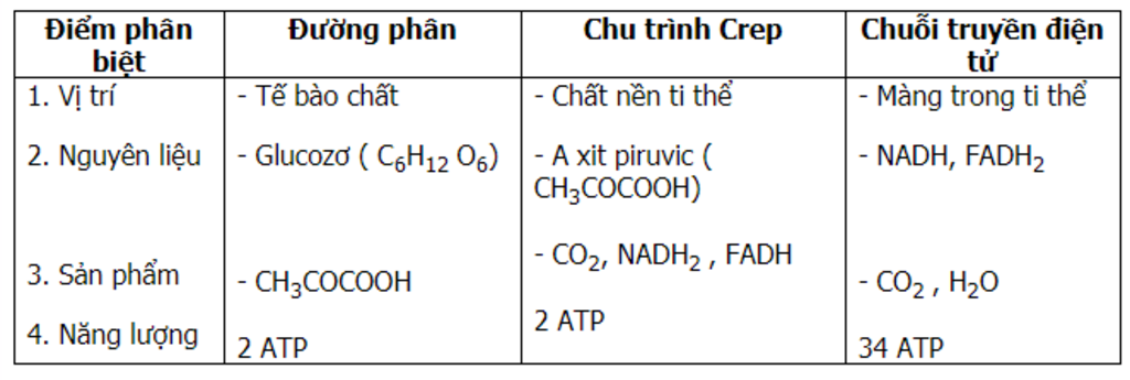 phan-biet-duong-phan-voi-chu-trinh-crep-va-chuoi-truyen-dien-tu