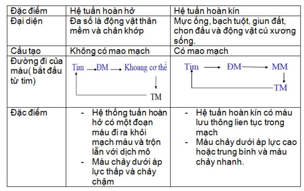 phan-biet-giua-he-tuan-hoan-ho-va-he-tuan-hoan-kin