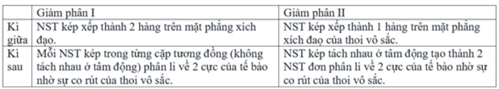 phan-biet-giua-nguyen-phan-va-giam-phan-ve-loai-te-bao-tham-gia-va-ket-qua-phan-biet-giam-phan-1