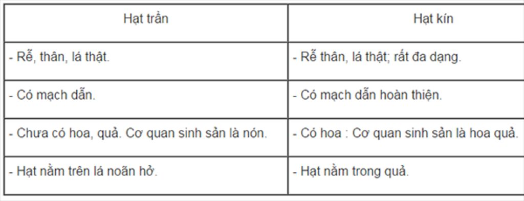 phan-biet-hat-tran-va-hat-kin-hat-kin-tien-hoa-hon-hat-tran-o-diem-nao