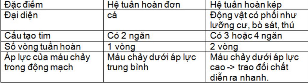 phan-biet-he-tuan-hoan-don-va-he-tuan-hoan-kep