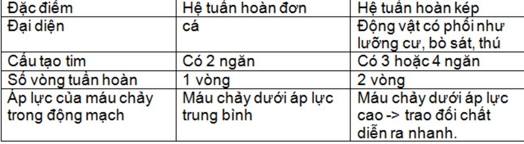 phan-biet-he-tuan-hoan-don-va-he-tuan-hoan-kep-dai-dien-cau-tao-tim-duong-di-cua-ap-luc-mau-va-v