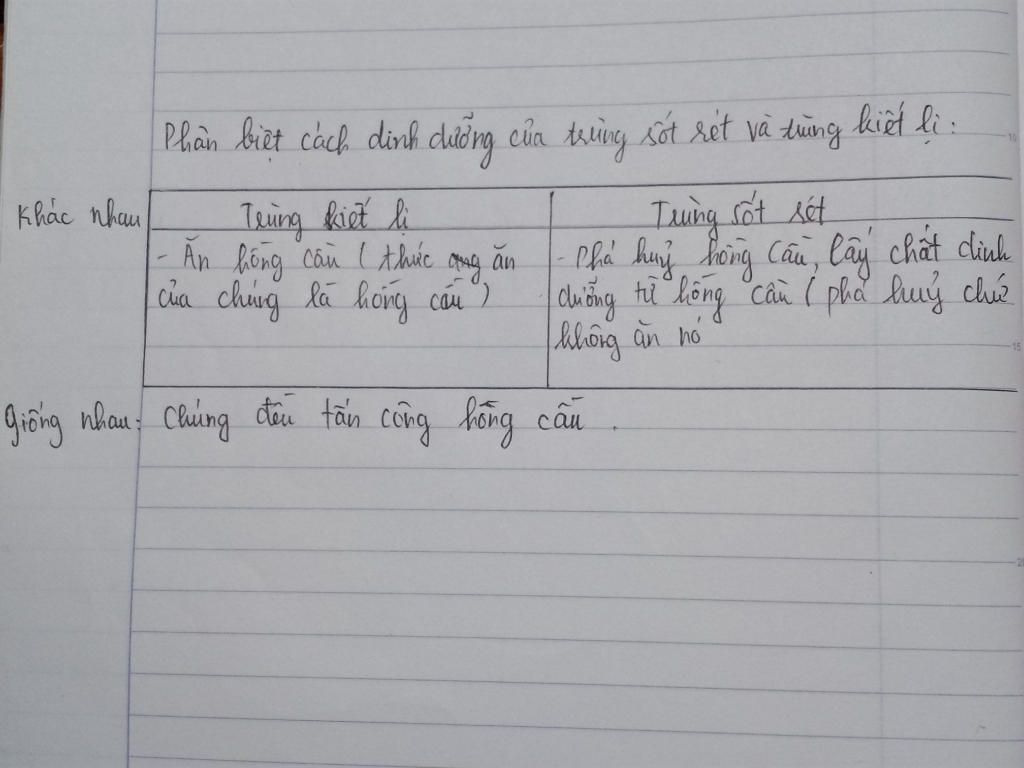 phan-biet-hinh-thuc-sinh-duong-cua-trung-sot-ret-va-trung-kiet-li