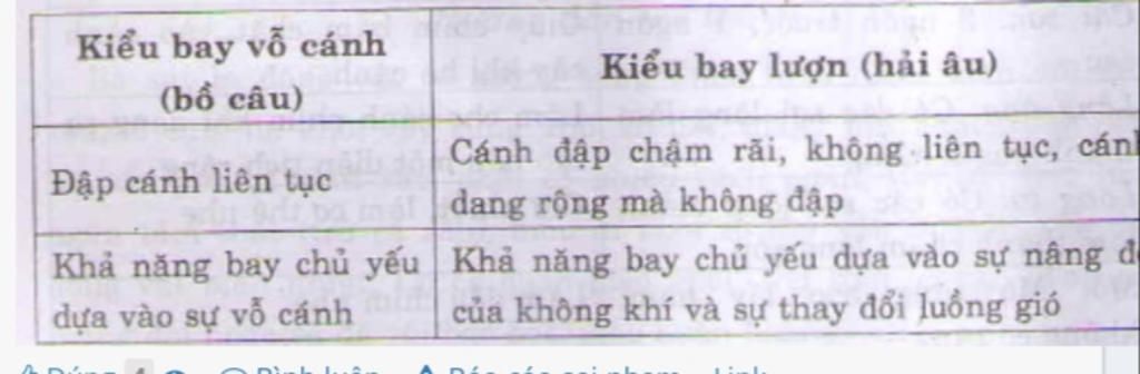 phan-biet-kieu-bay-vo-canh-va-kieu-bay-luon