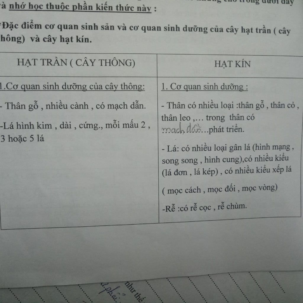 phan-biet-lop-mot-va-lop-hai-la-mam-dac-diem-cua-thuc-vat-hat-kin-dac-diem-cua-thuc-vat-hat-tran