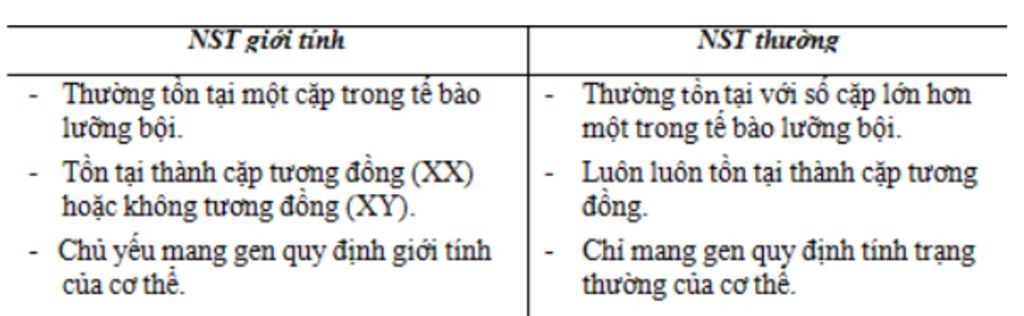 phan-biet-nhiem-sac-the-thuong-voi-nhiem-phan-biet-phan-biet-nhiem-sac-the-thuong-va-nhiem-sac-t