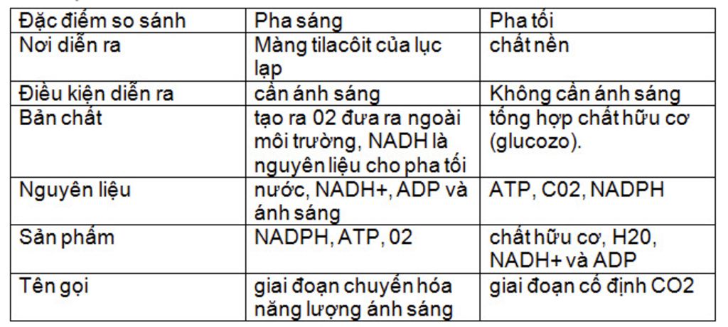 phan-biet-pha-sang-pha-toi-trong-quang-hup