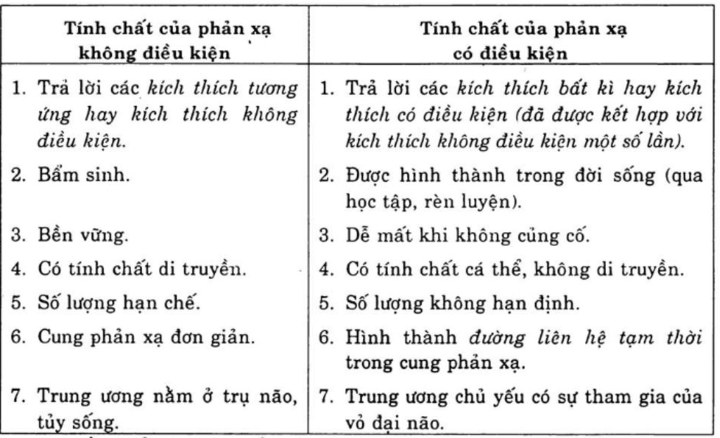 phan-biet-phan-a-co-dieu-kien-va-phan-a-khong-dieu-kien-cho-vi-du