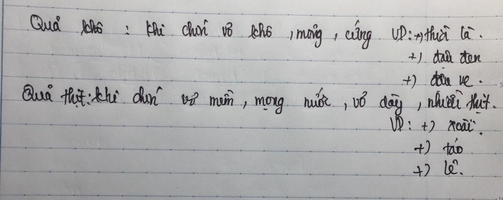 phan-biet-qua-kho-va-qua-thit-hay-ke-ten-3-loai-qua-kho-va-3-loai-qua-thit-ma-em-biet