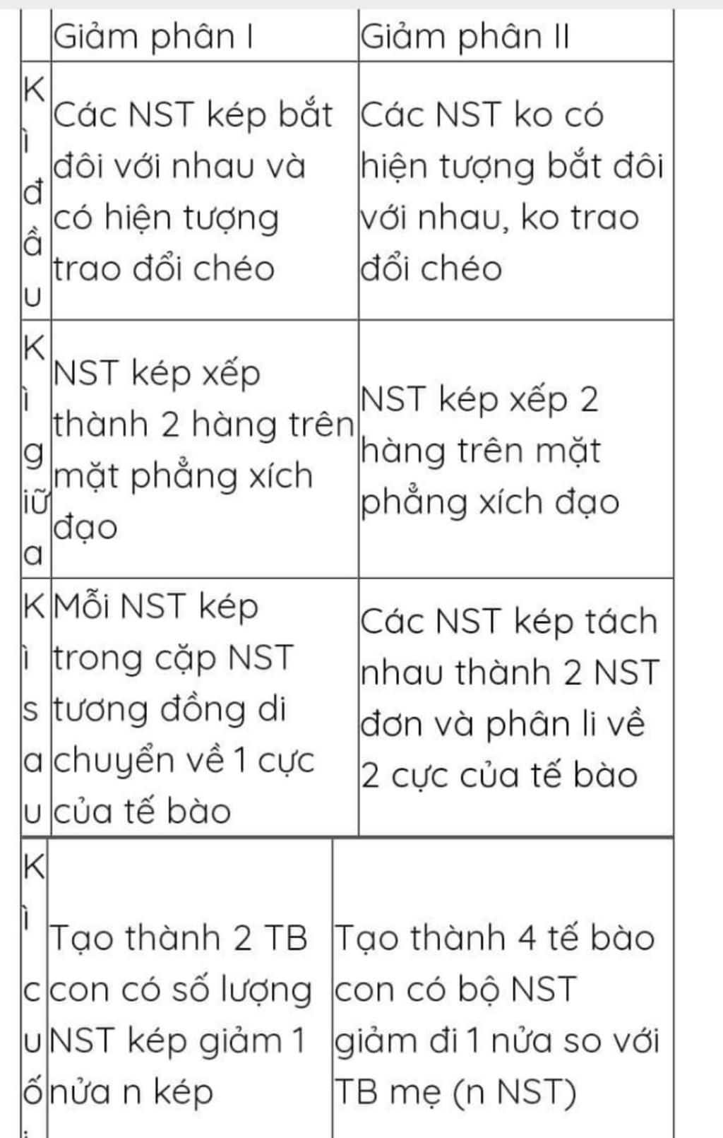 phan-biet-qua-trinh-giam-phan-i-va-giam-phan-ii